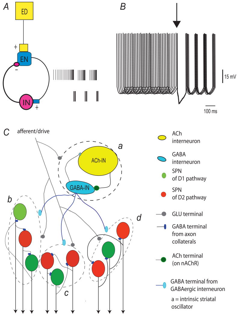 FIGURE 2