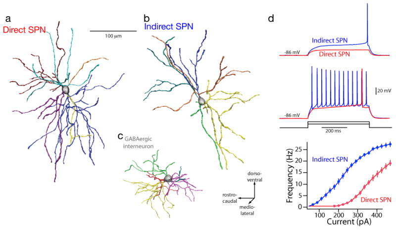 FIGURE 1