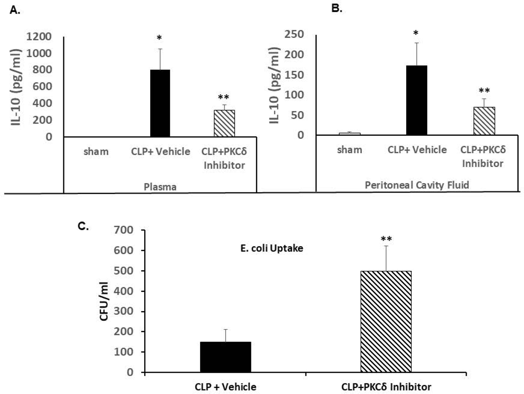 Figure 5: