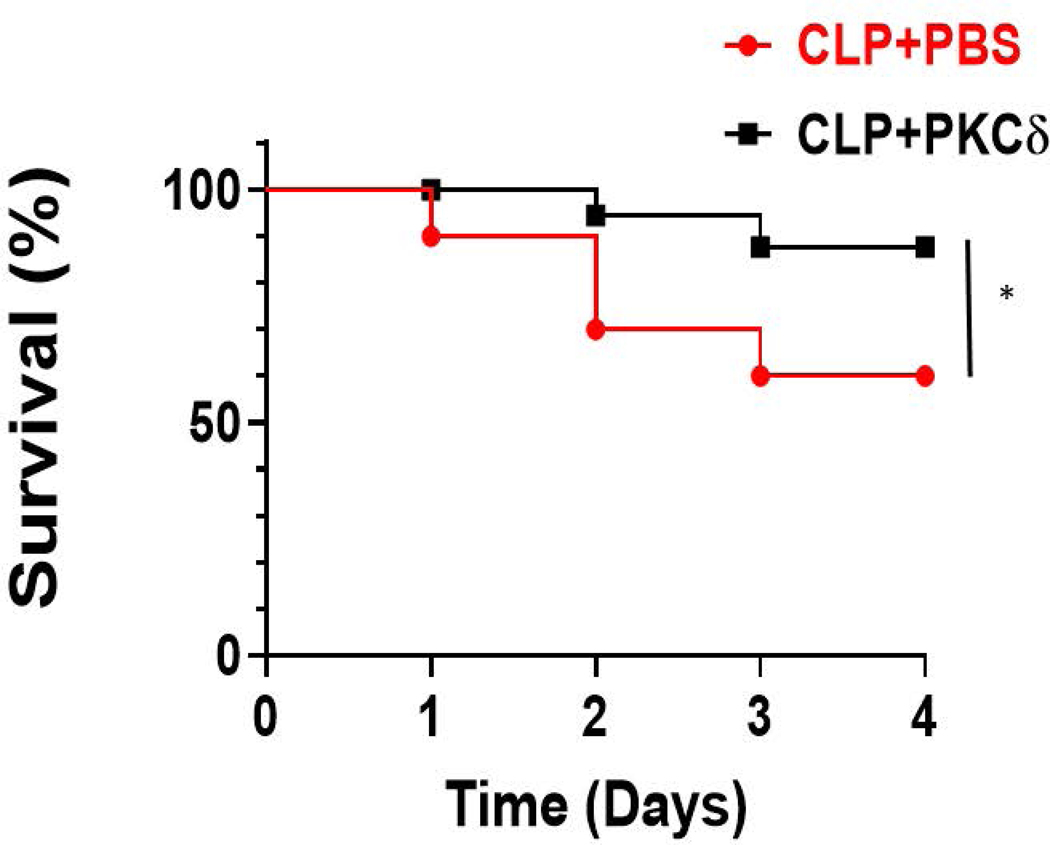 Figure 6: