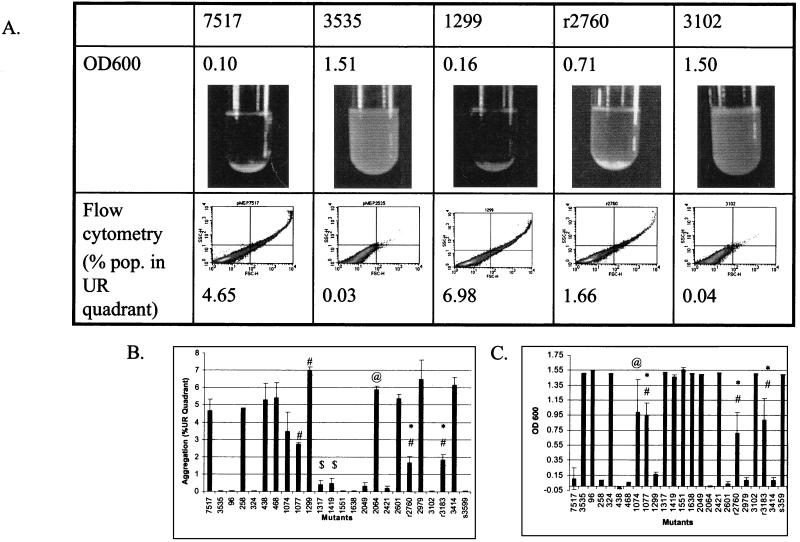 FIG. 3