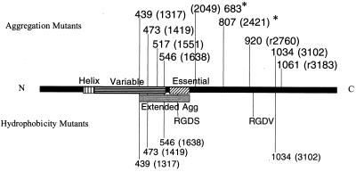 FIG. 7