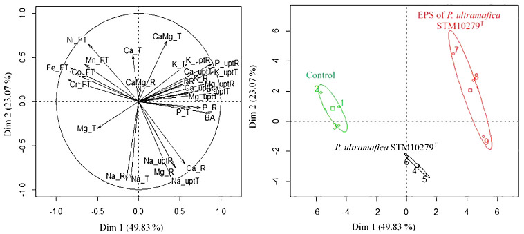 Figure 4