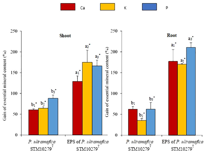 Figure 2