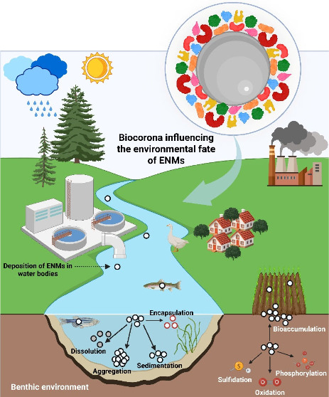 graphic file with name ar5c00587_0006.jpg