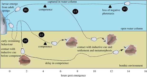 Figure 3.