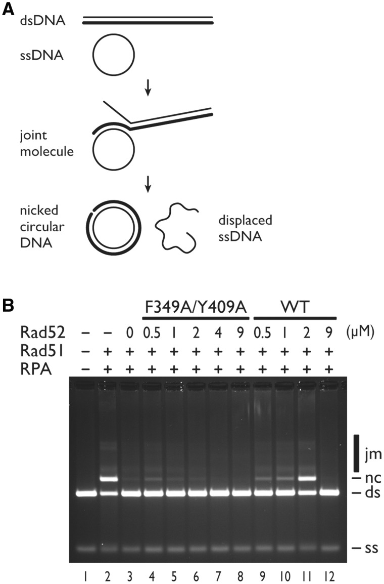 Figure 5.