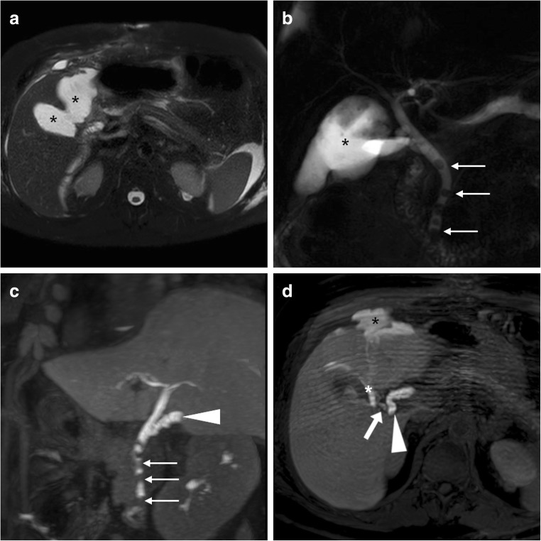 Fig. 19