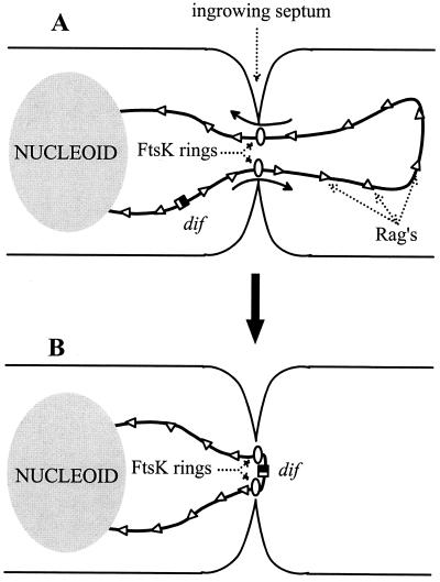 FIG. 5.