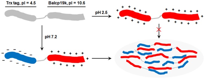 Fig 9