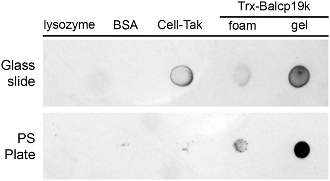 Fig 6