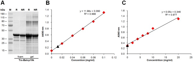 Fig 8