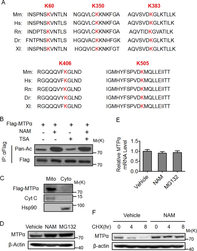 FIG 1