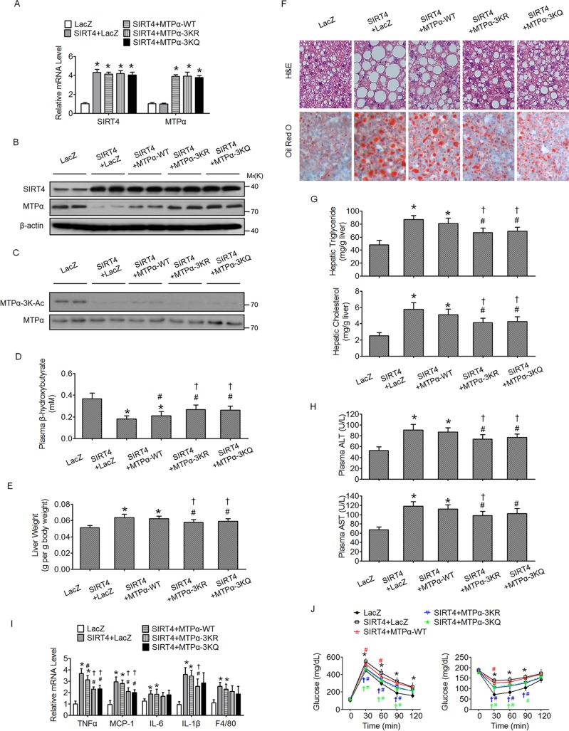 FIG 8