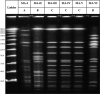 <b>FIG. 2.</b>