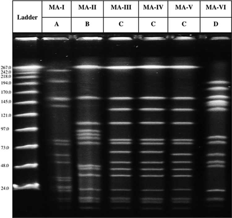 FIG. 2.