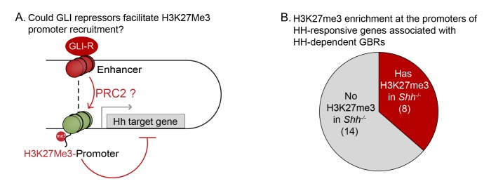 Figure 2—figure supplement 1.