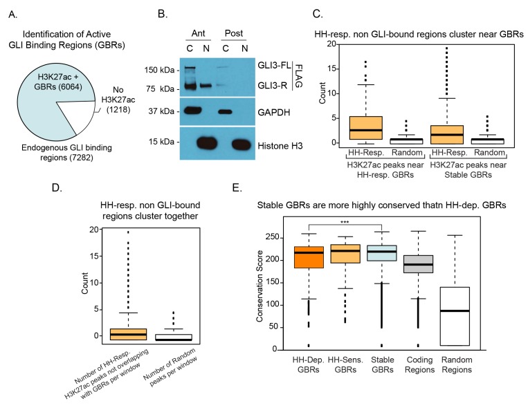 Figure 1—figure supplement 1.