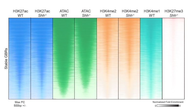 Figure 7—figure supplement 1.