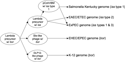 FIG. 8.