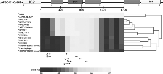 FIG. 6.