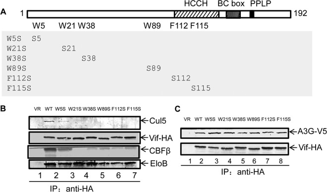 FIG 6