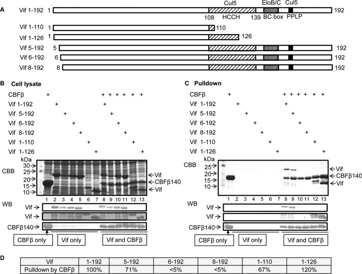 FIG 1