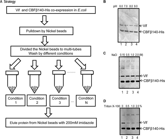 FIG 3