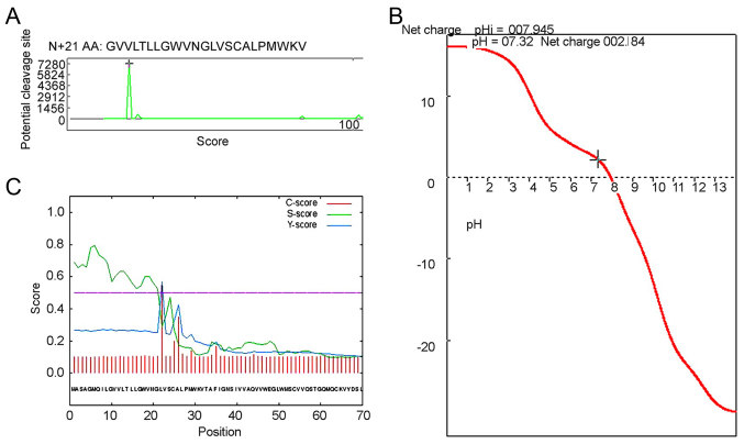 Figure 5.