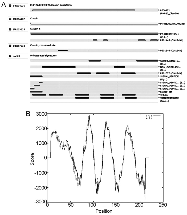 Figure 7.