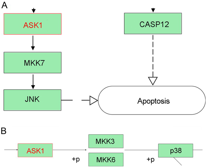 Figure 10.