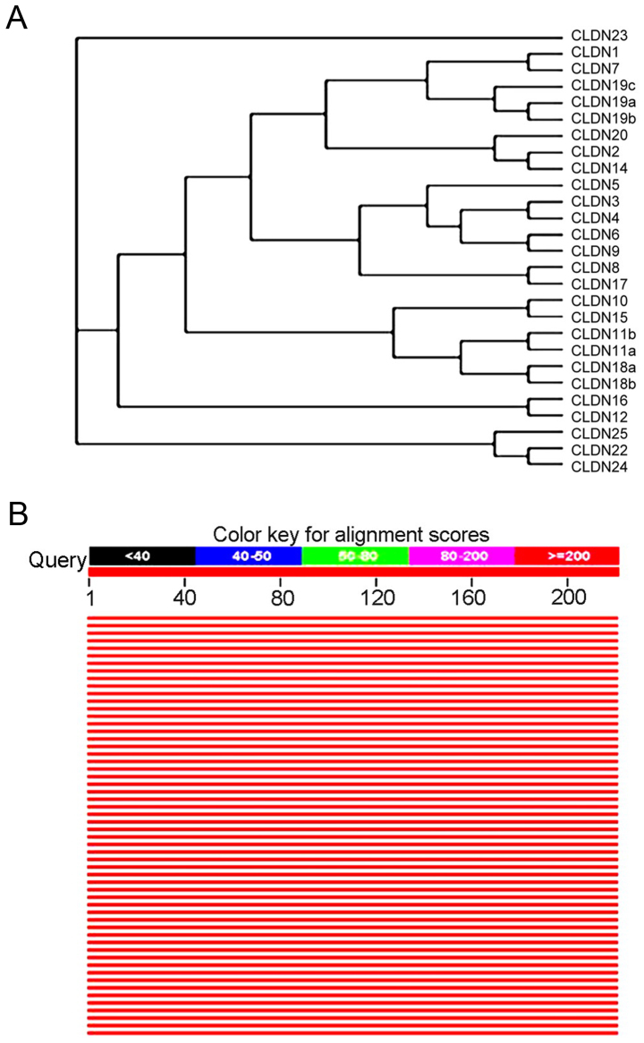 Figure 9.