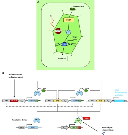 Figure 7.