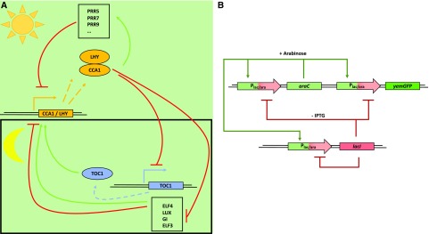 Figure 3.