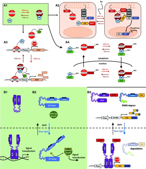 Figure 2.