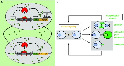 Figure 5.