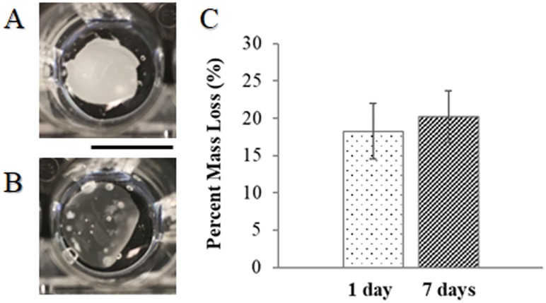 Fig 5