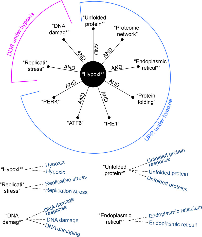 Figure 2.