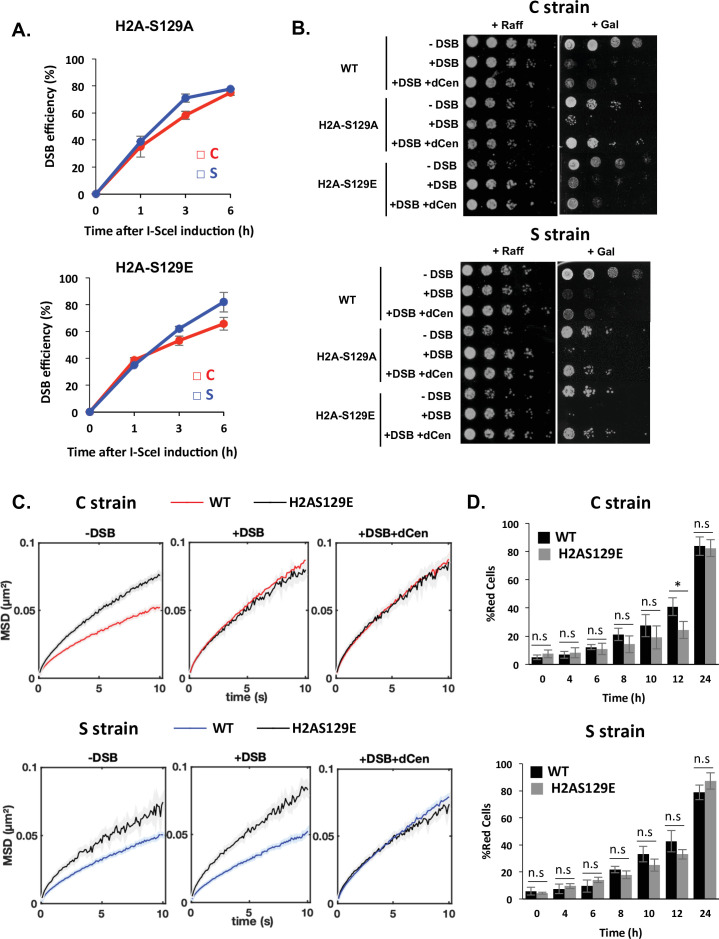 Figure 4—figure supplement 1.