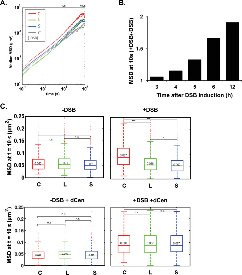 Figure 2—figure supplement 1.