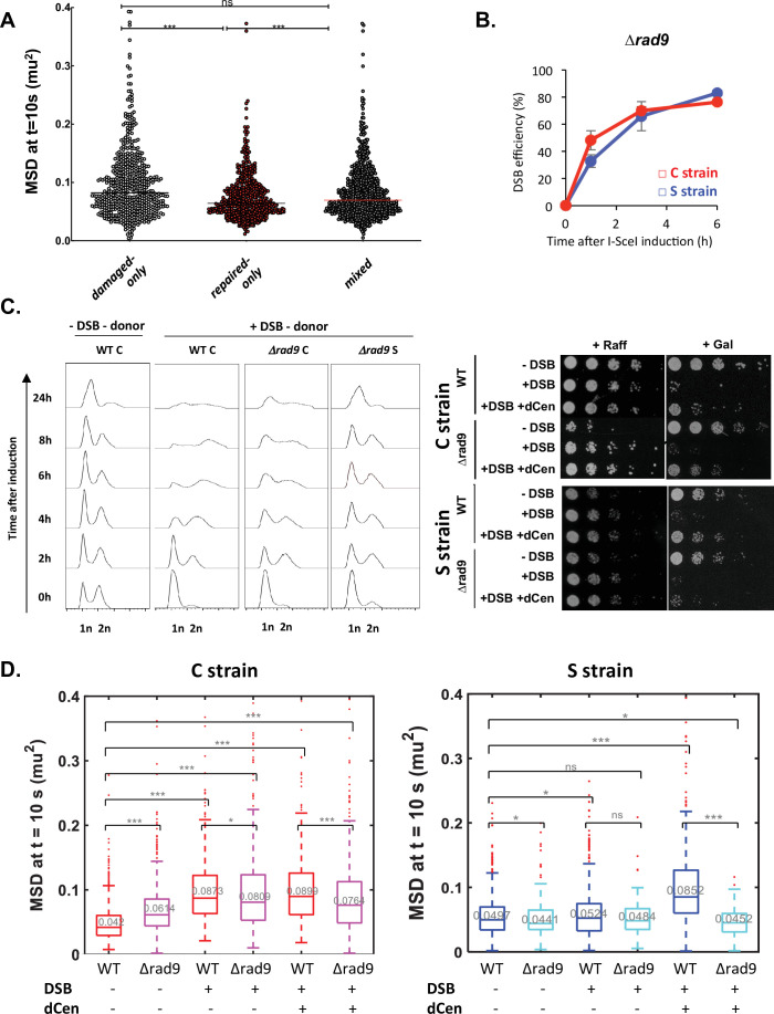 Figure 3—figure supplement 1.