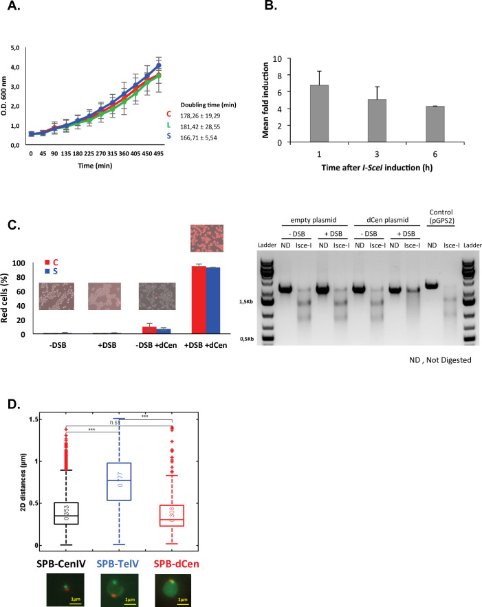 Figure 1—figure supplement 1.