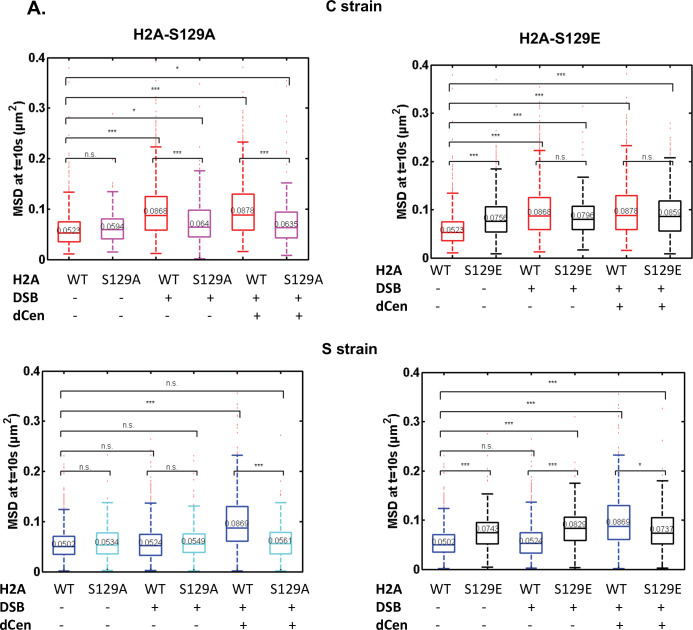 Figure 4—figure supplement 2.