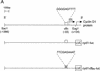FIG. 10.