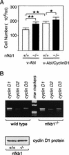 FIG. 8.