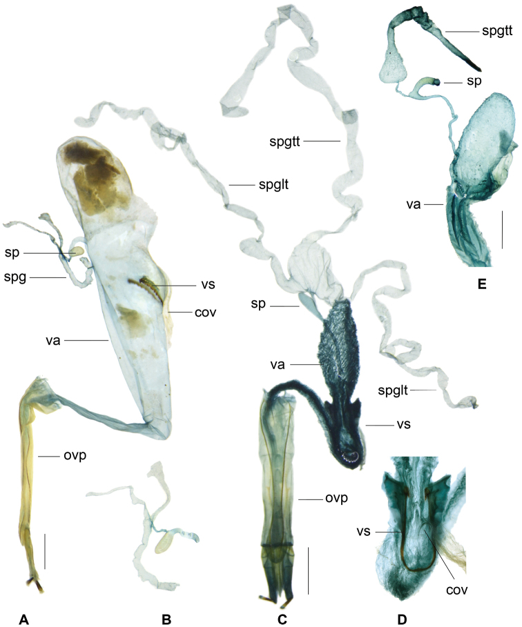 Figure 22.