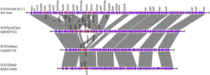 FIGURE 3