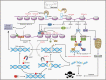 Graphical Abstract