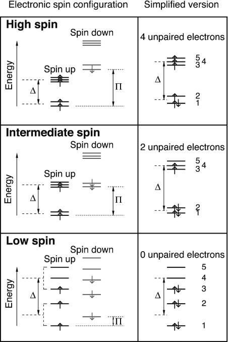 Fig. 4.