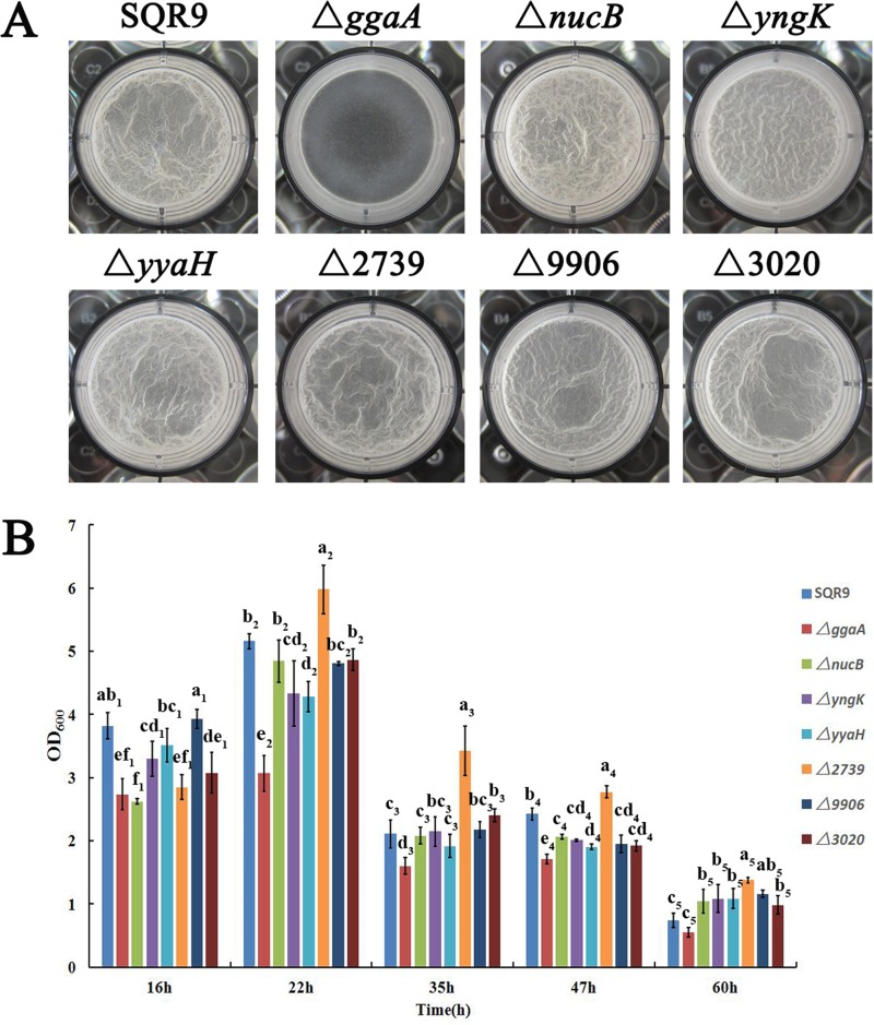 FIG 3